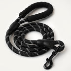 Reflective Nylon Leash