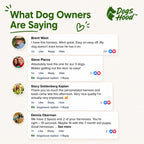 Personalized Dog Harness