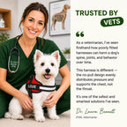 Personalized Dog Harness