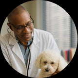@dr.matthewcole.vet